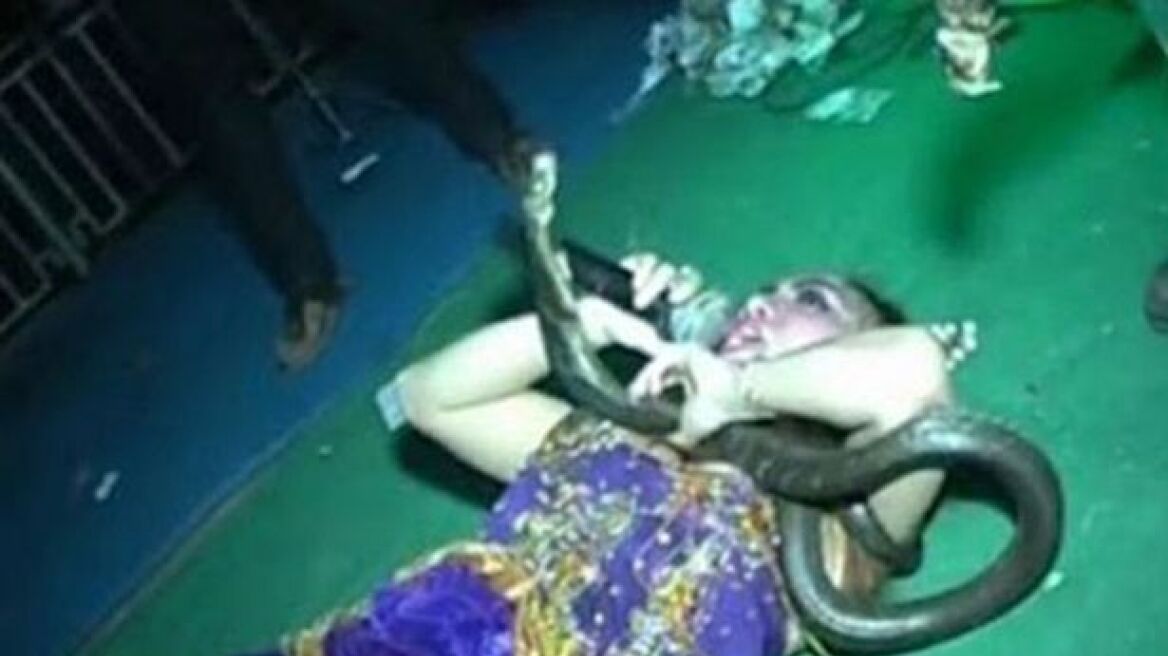 Βίντεο-σοκ: Κόμπρα σκότωσε τραγουδίστρια την ώρα που έδινε συναυλία!